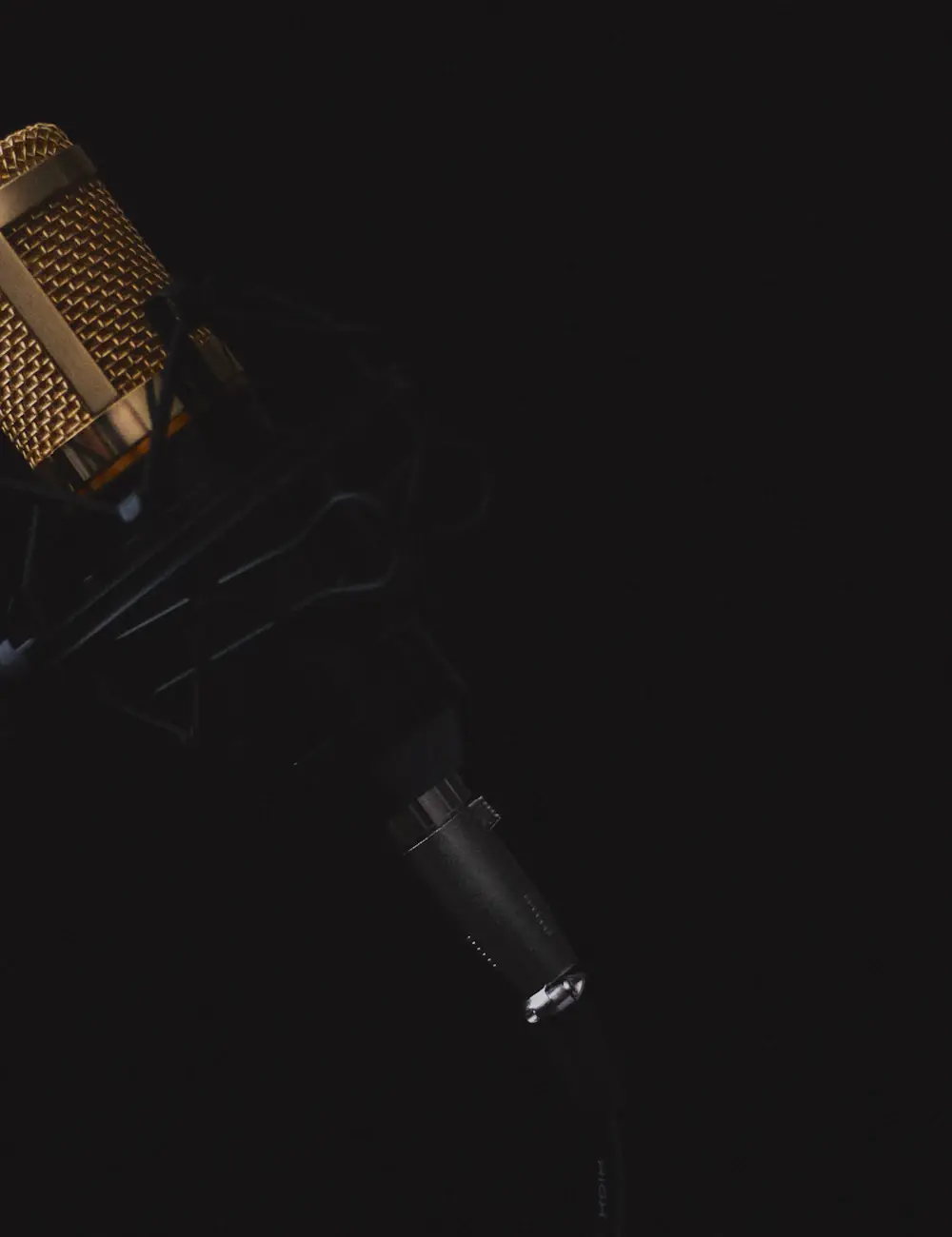 A gold condenser microphone lit softly against a dark background