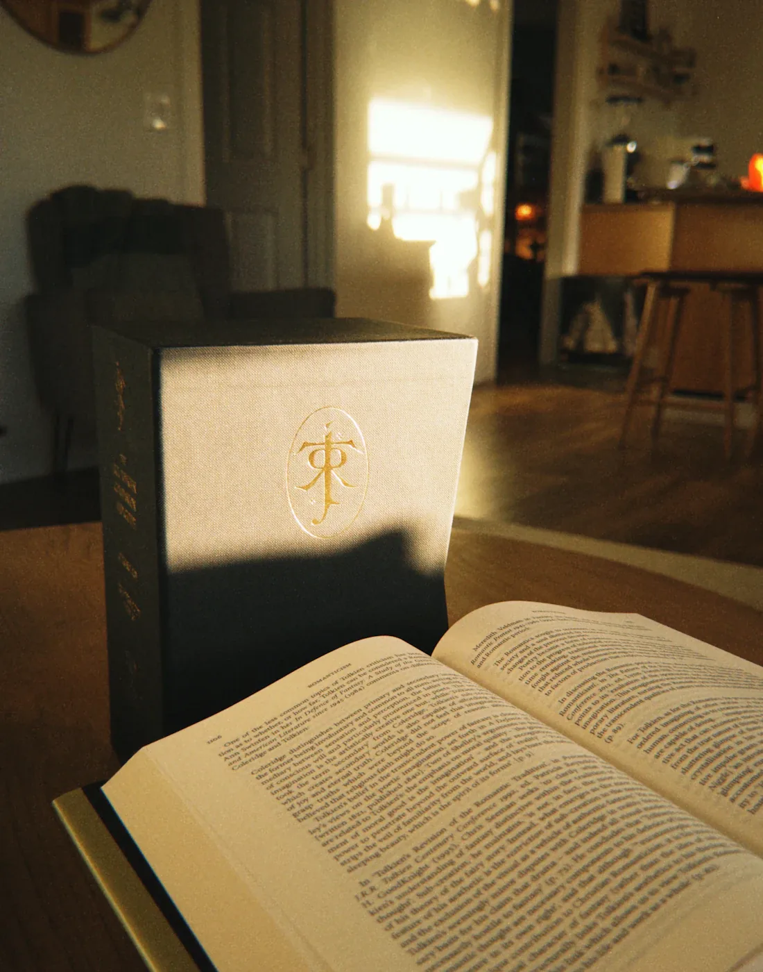 Late sunlight falling across an open book and a standing hardback